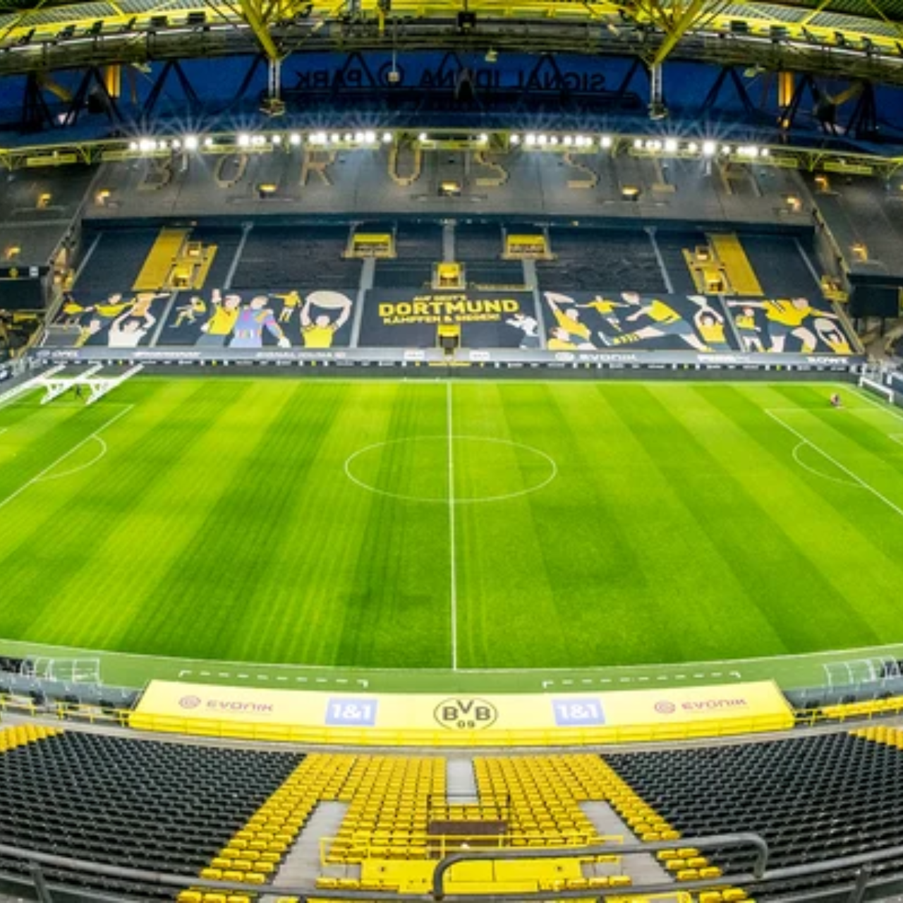 Premium Quality logo over baseball stadium scene